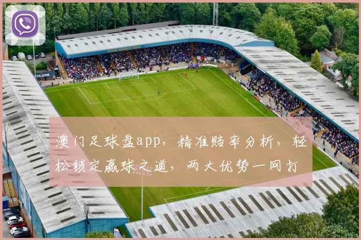 澳门足球盘app，精准赔率分析，轻松锁定赢球之道，两大优势一网打尽