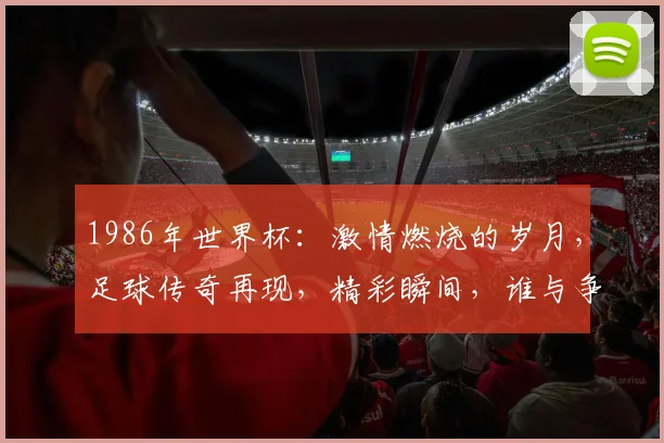 1986年世界杯：激情燃烧的岁月，足球传奇再现，精彩瞬间，谁与争锋