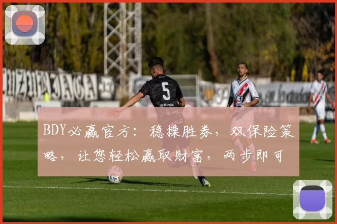 BDY必赢官方：稳操胜券，双保险策略，让您轻松赢取财富，两步即可实现
